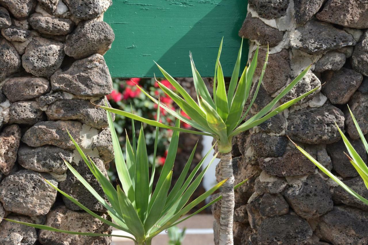 Ave Paraiso - Cozy And Sunny House Puerto del Carmen  Extérieur photo